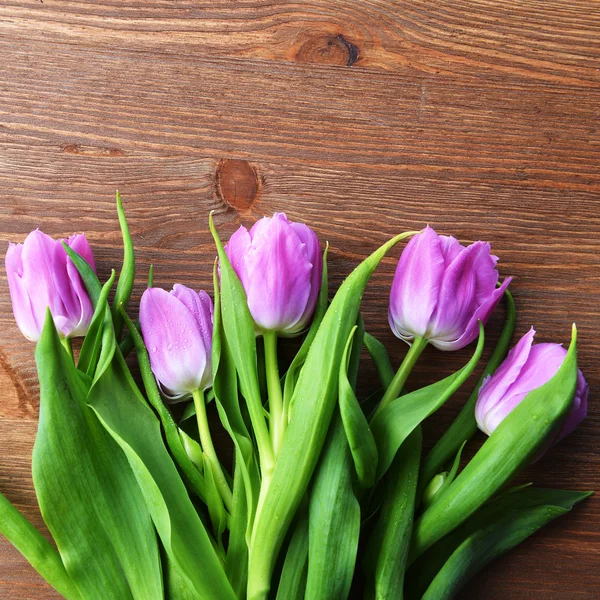 Bouquet of  pink tulips — Stock Photo, Image