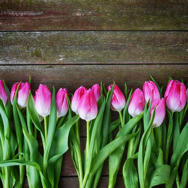 Букет розовых тюльпанов — стоковое фото