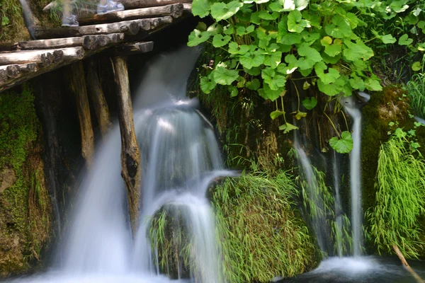 Waterfalls  and wooden bridge — Stock Photo, Image