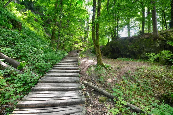 Dřevěná cesta v lese — Stock fotografie