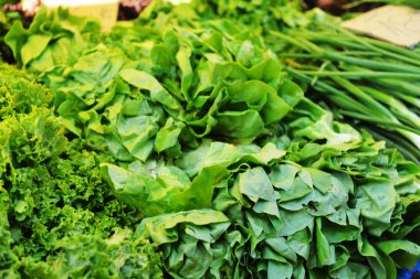 taze marul ve soğan