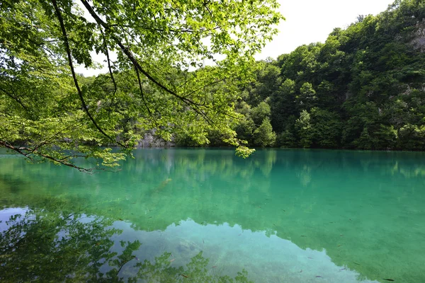 Malerischer See in den Bergen — Stockfoto