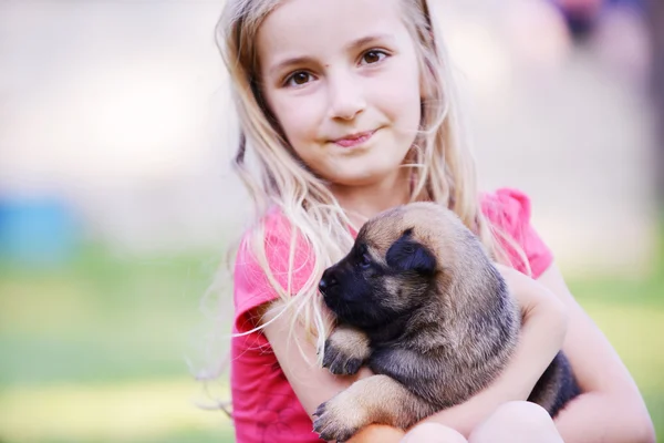 Chica jugando con perro — Foto de Stock