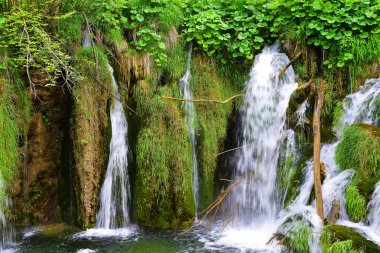 şelaleler Dağları'nın yamaçlarında