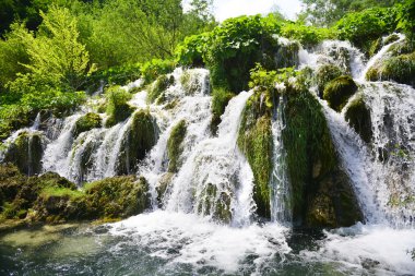 şelaleler Dağları'nın yamaçlarında