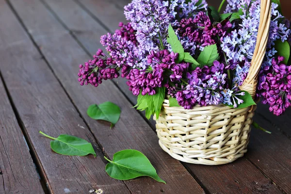 Basket with  branch of lilac — Stock Photo, Image