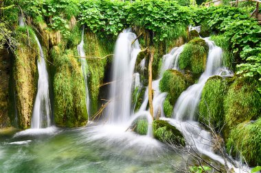 güzel pitoresk şelale