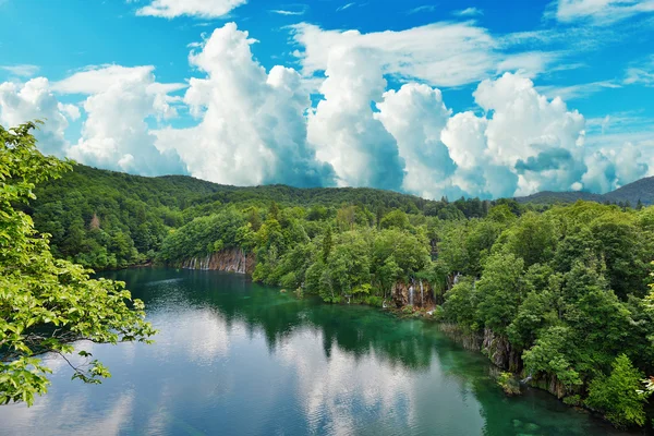 Meer in het bos van bergen — Stockfoto