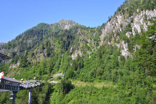 Hellingen van de bergen met bomen — Stockfoto