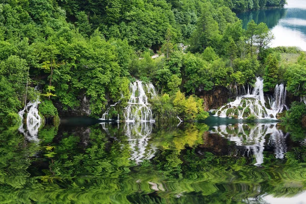 Schilderachtige meer in bos — Stockfoto