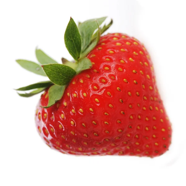 新鲜和美味的草莓 — 图库照片