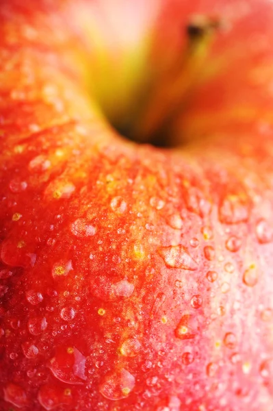 Lezzetli Kırmızı elma — Stok fotoğraf