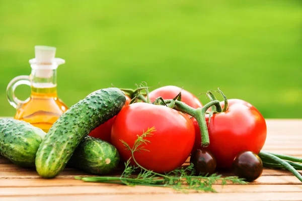 Taze salatalık ve domates — Stok fotoğraf