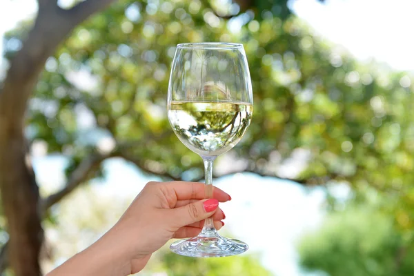 Χέρι εκμετάλλευση ποτήρι λευκό κρασί — Φωτογραφία Αρχείου