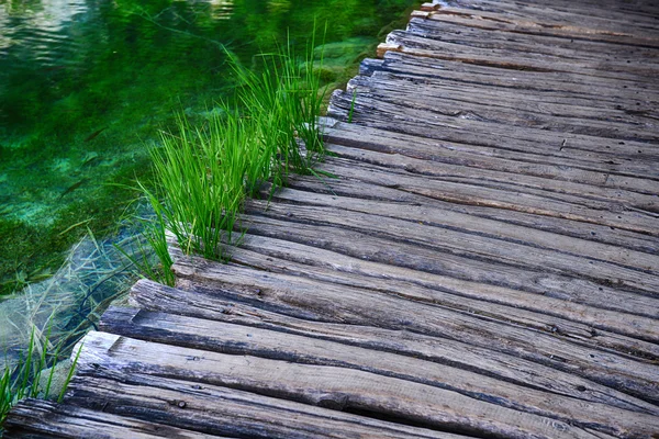 Su yüzeyi üzerinde ahşap köprü — Stok fotoğraf