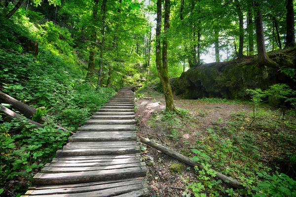 Dřevěný chodník — Stock fotografie