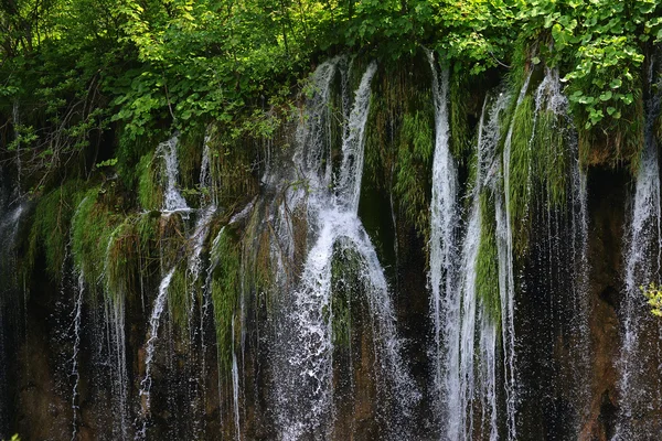 Lago pitoresco com floresta — Fotografia de Stock