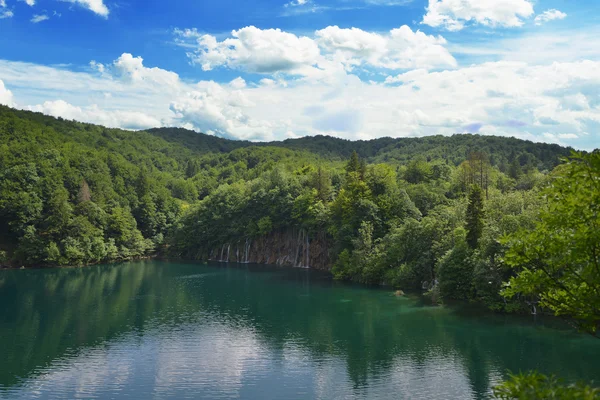 Malerischer See mit Wald — Stockfoto