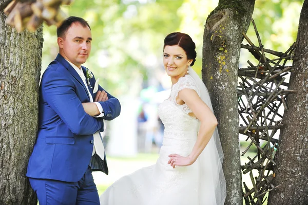 Damat ve gelin Park — Stok fotoğraf