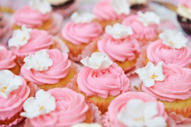 Tatlı krema ile küçük kek