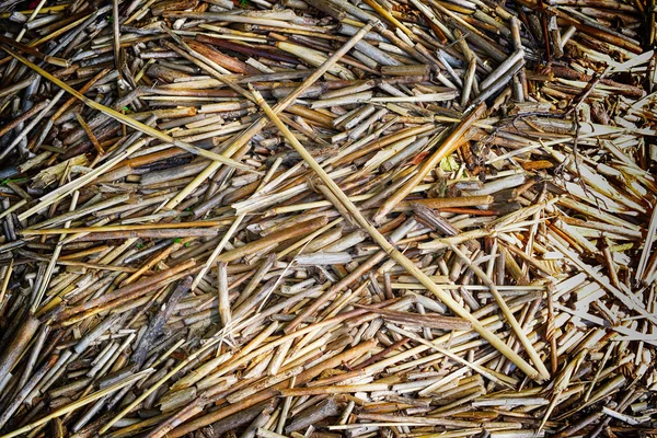 Grunge background of straw — Stock Photo, Image