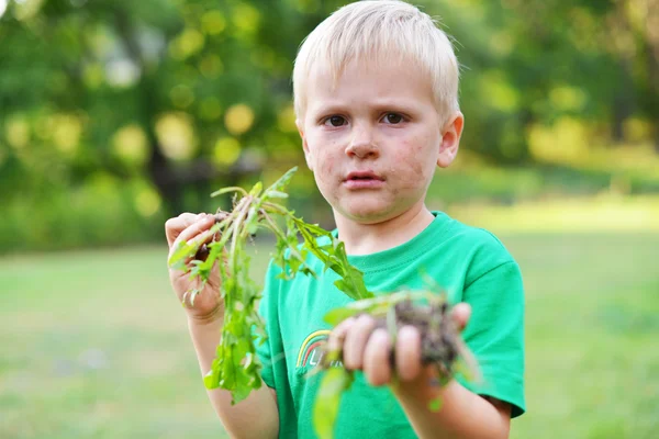 Kleine jongen met plant — Stockfoto