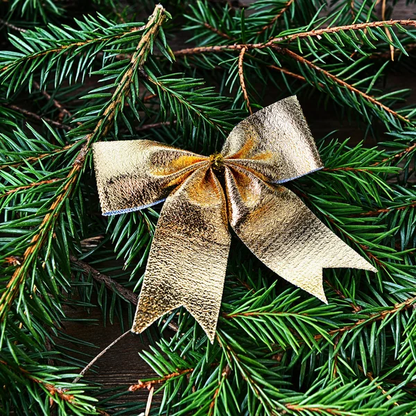 FIR tree med jul bow — Stockfoto