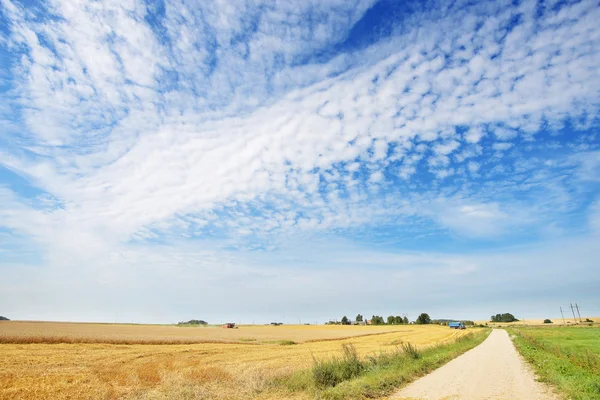 Parlak gökyüzü ile kırsal yol — Stok fotoğraf