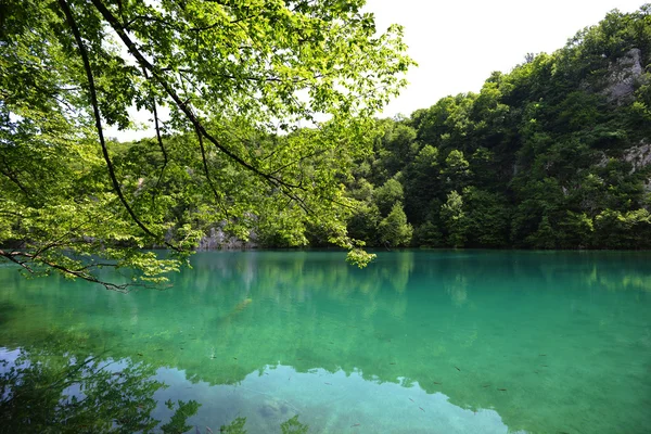 Picturesque lake with forest Stock Photo