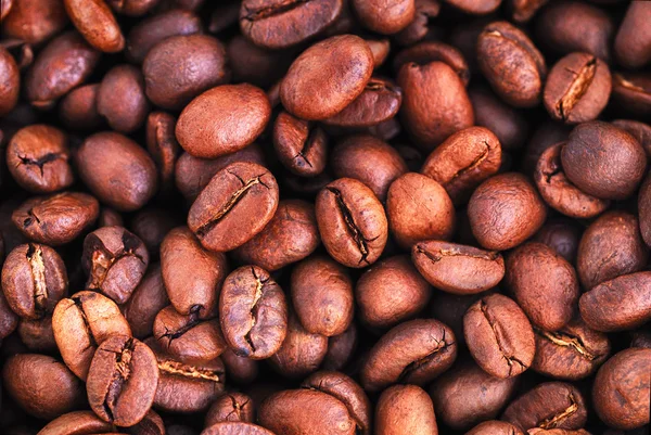 Roasted coffee beans — Stock Photo, Image