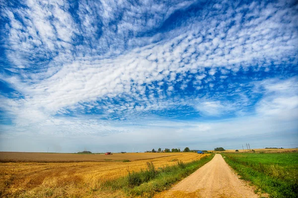 Landstraße zwischen Feldern — Stockfoto