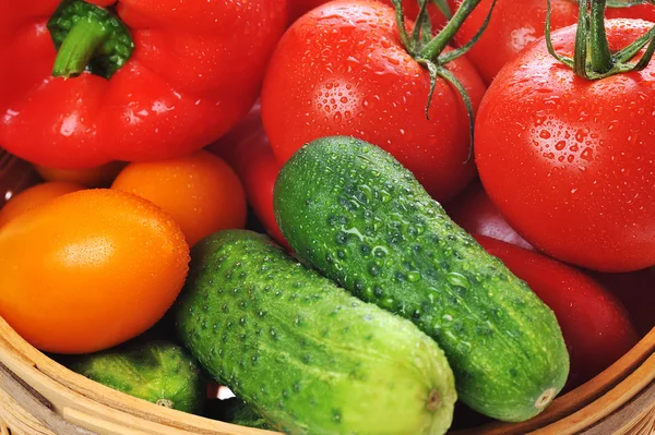 Pepinos y tomates en cesta — Foto de Stock