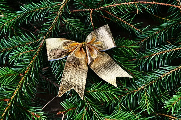 クリスマス グッズとモミの木 — ストック写真