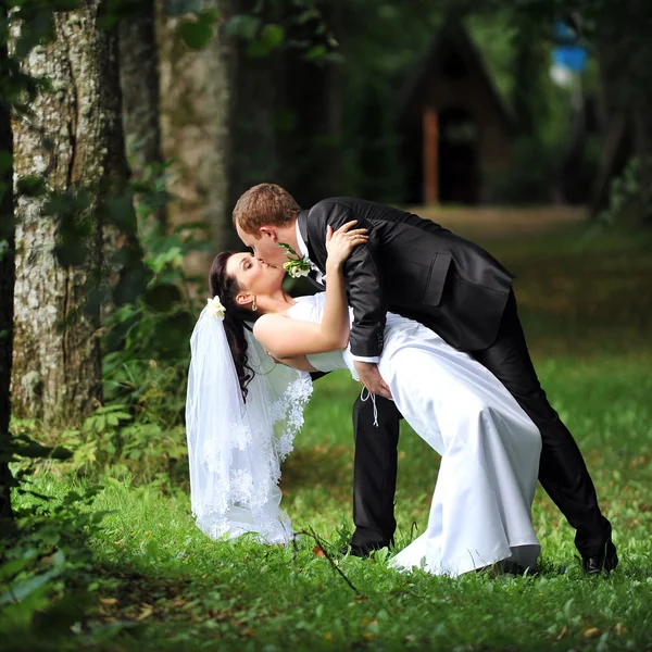 Güzel damat ve gelin — Stok fotoğraf