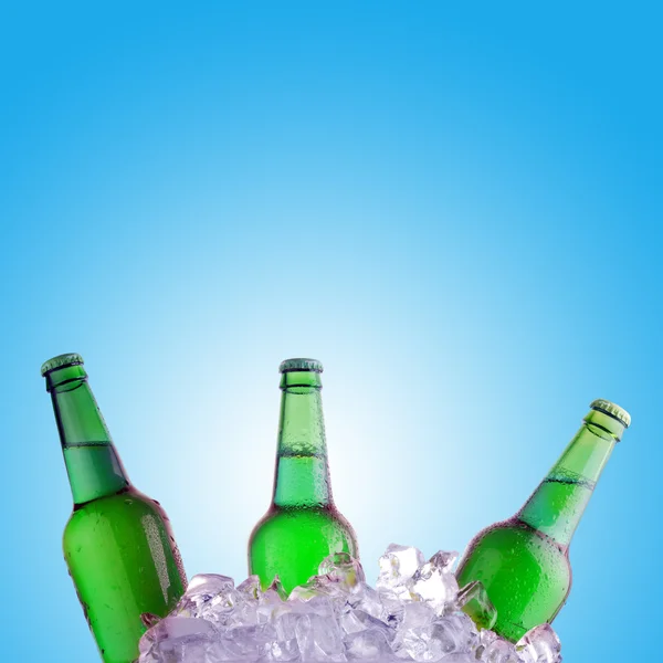 Зеленые бутылки на льду — стоковое фото