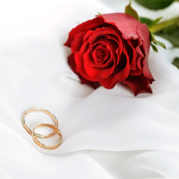 Rose und Ringe auf weißer Seide — Stockfoto