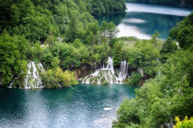 Ormandaki pitoresk göl