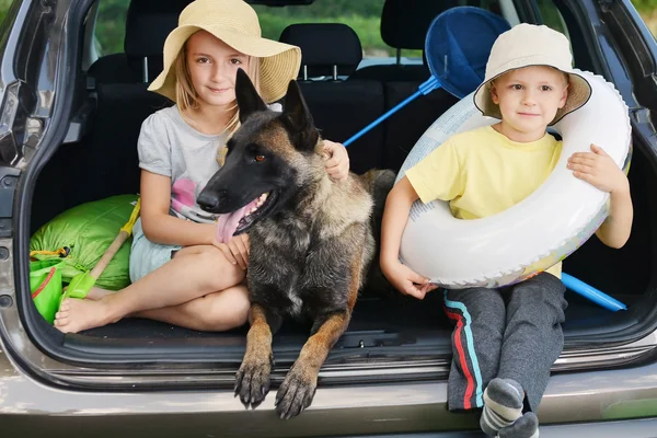 Meisje met haar broer en de hond in de auto — Stockfoto