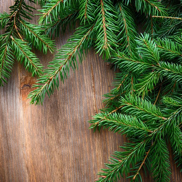 Gröna GranTree — Stockfoto