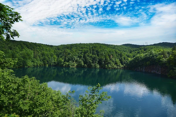 Lac pittoresque en forêt — Photo