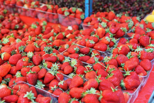 Rode aardbeien in tellers — Stockfoto
