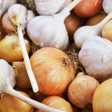 Soğan ve sarımsak soğanı.