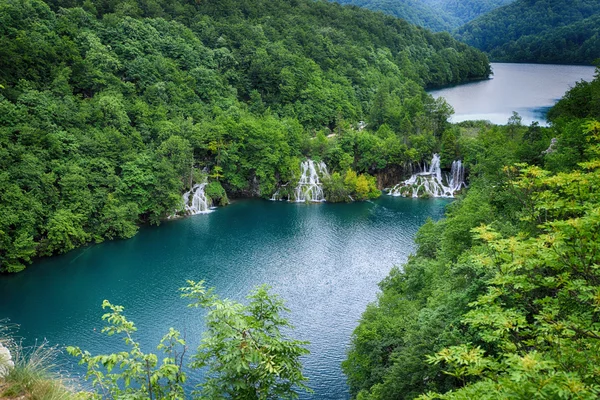 Malebné jezero v lese — Stock fotografie