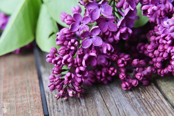 Ramo de flores lilás — Fotografia de Stock