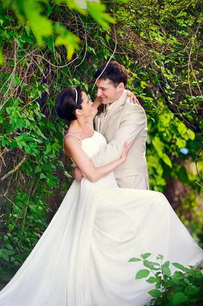 Schöner Bräutigam und Braut — Stockfoto
