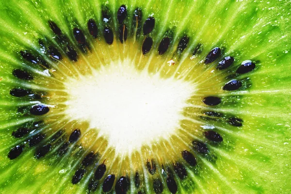 Groene kiwi segment — Stockfoto