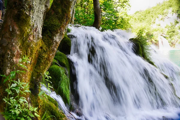 Schöne malerische Wasserfälle — Stockfoto