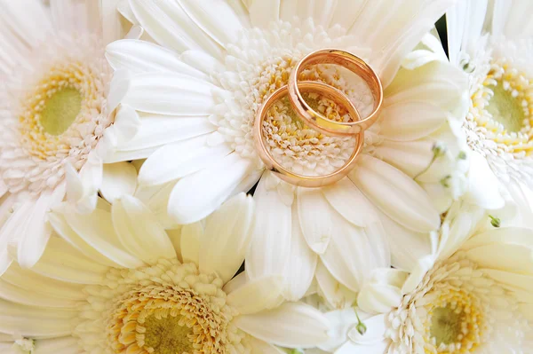 Flores e anéis de ouro do casamento — Fotografia de Stock