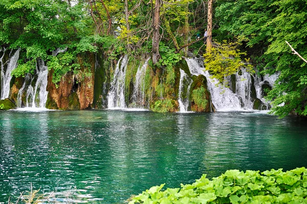 Prachtige schilderachtige watervallen — Stockfoto