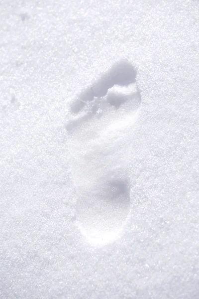 Huella descalza en la nieve — Foto de Stock